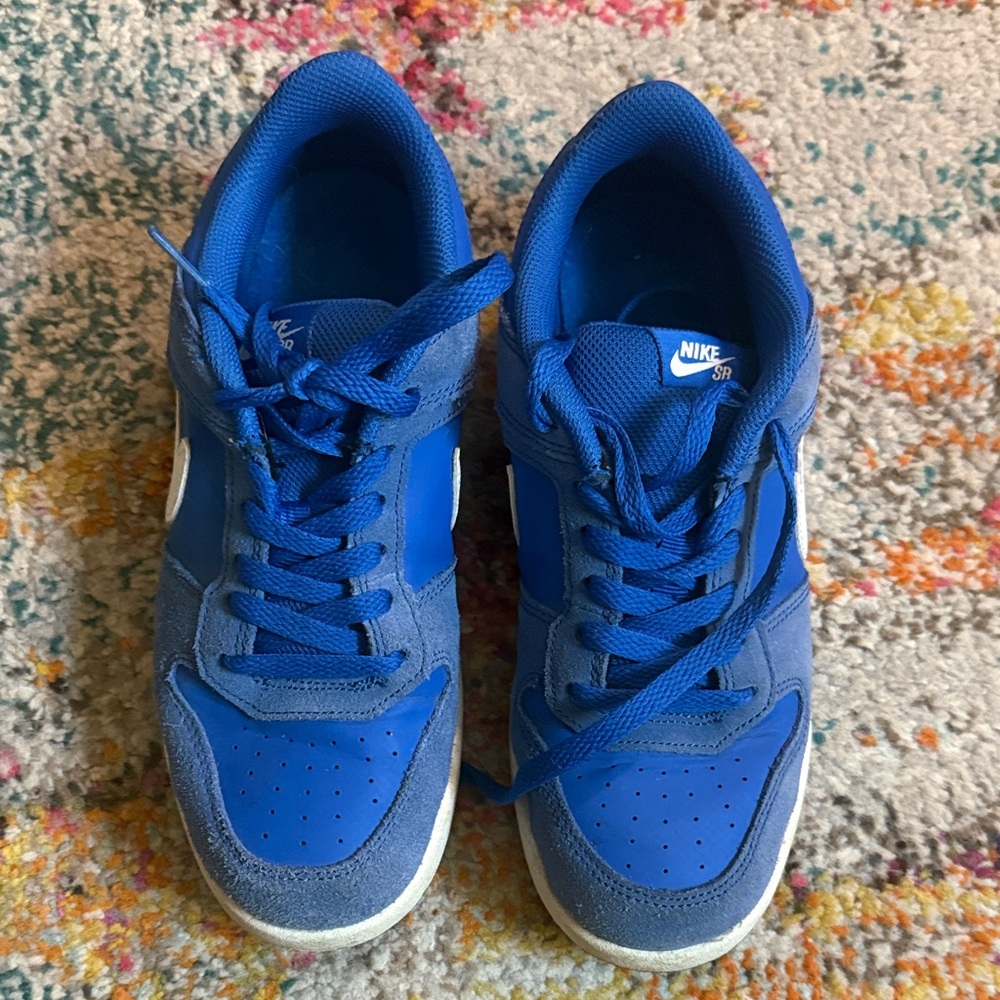 Nike Blue Low-Top Skate Sneakers size 5.5 Y